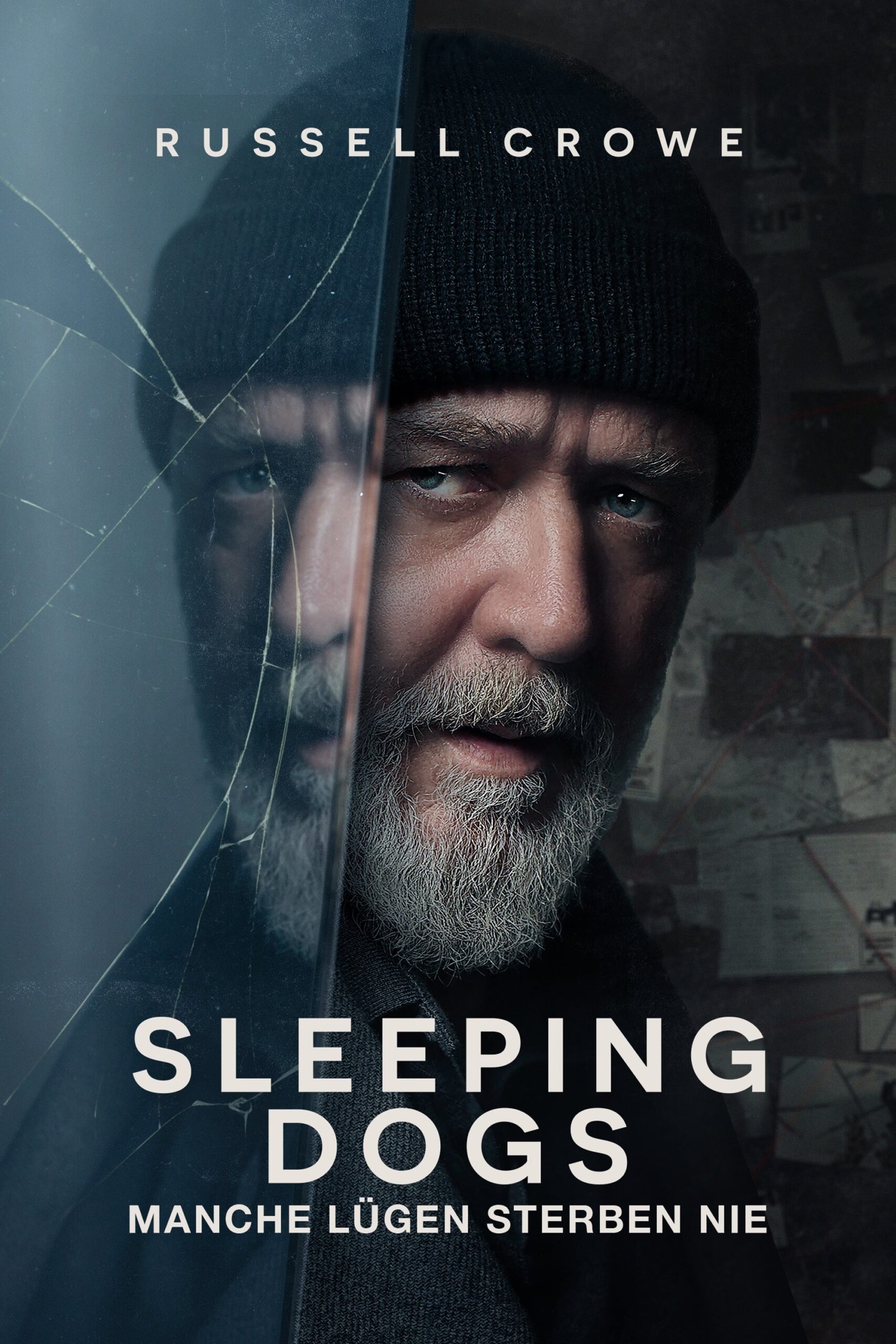 Filmplakat von Sleeping Dogs
